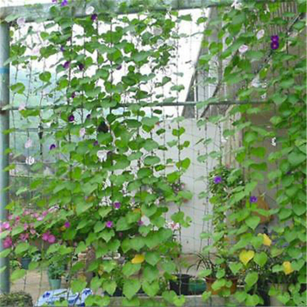 1.8x1.8m Garden Green Nylon Trellis Netting Support Climbing Plant Nets Fence TL