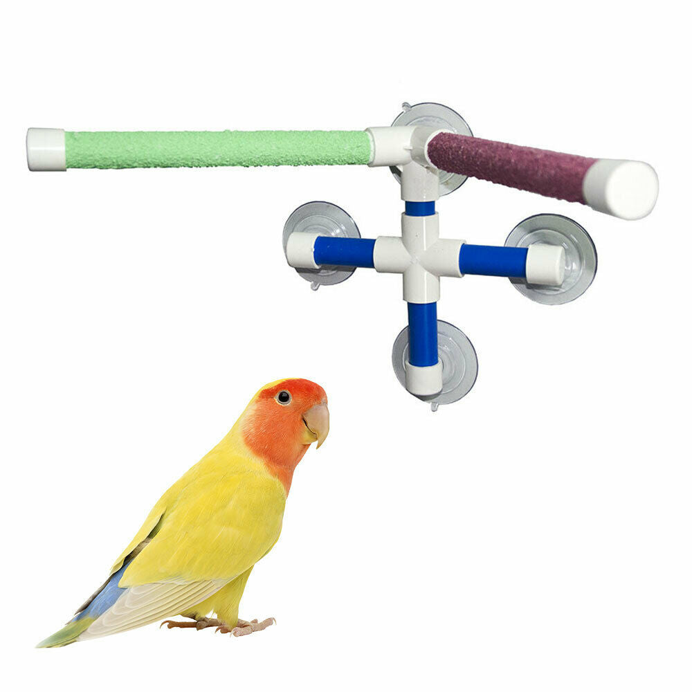 Double Stick Parrot Bath Stand Shower Standing Platform Bird Perch Rack Pe Hot