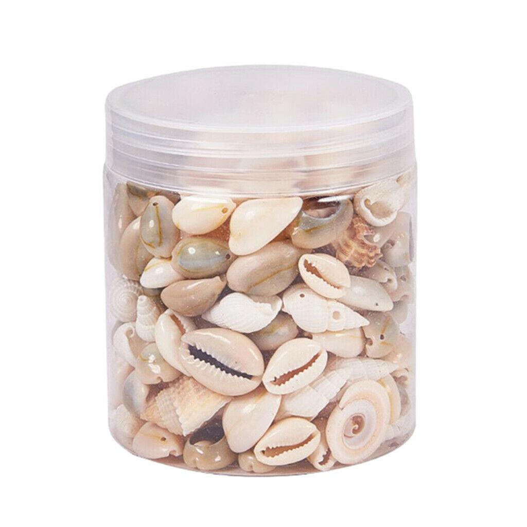 Mixed Beach Seashells Spiral Shells Conch Beads Vase Filler Jewelry Making