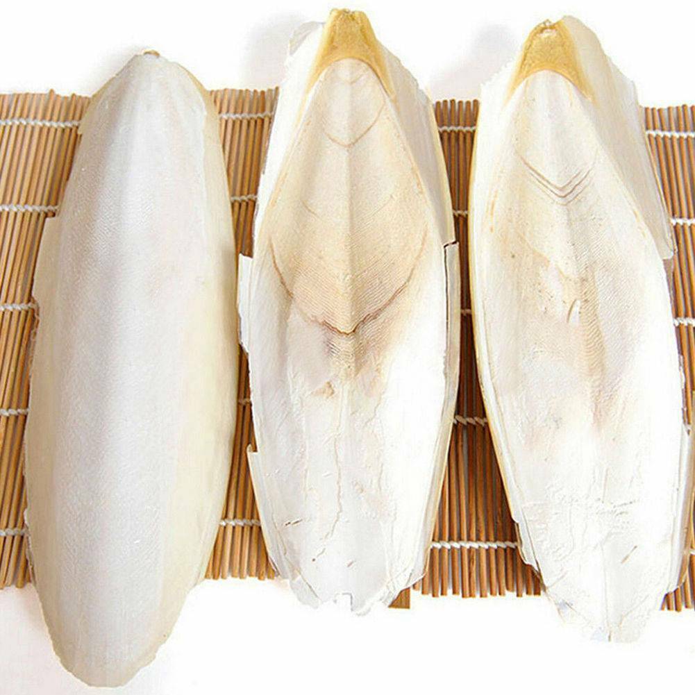 Cuttlefish Cuttle Fish Bone Calcium For Tortoise, Turtles, Birds & Small Animals