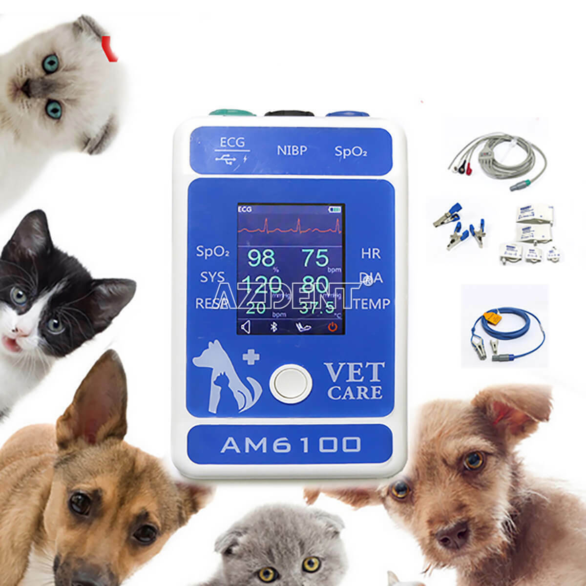 Veterinary Patient Monitor Pet Animal Portable Monitor Android NIBP SpO2 ECG USA