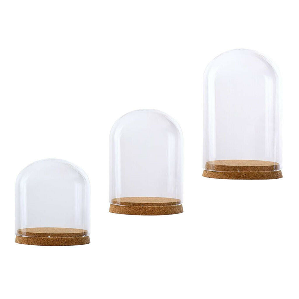 2xClear Glass Cloche Dome Cover Landscape Terrarium Container with Base S