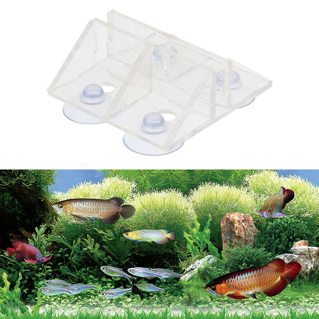 Enhanced Aquarium Fish Tank Acrylic Sucker Clip Divider Sheet Holder Clear