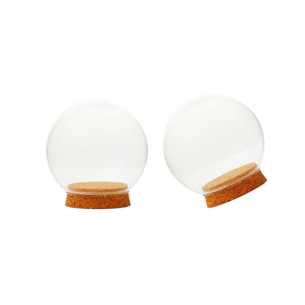 2pcs Hand Blown Glass Egg Shaped Round Bubble Terrarium Glass Globe Cute