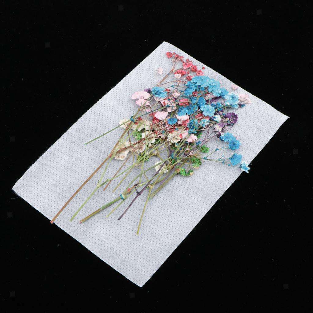 12Pcs Real Dry Press Babysbreath Flower Natural Pressed Dried Flowers Leaves for
