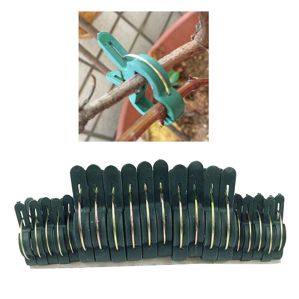 60x Reusable Spring Loaded Sprung Plastic Plant Clips Garden Ties Easy Use