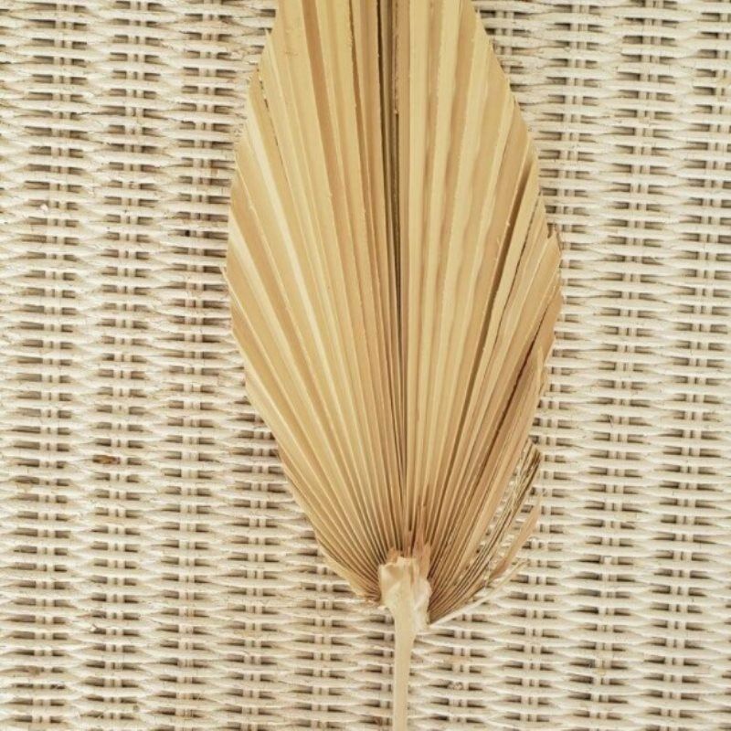 1pc Dried Flower Natural Pu Fan Leaf For DIY Home Shop Display DecorationBDZ TL
