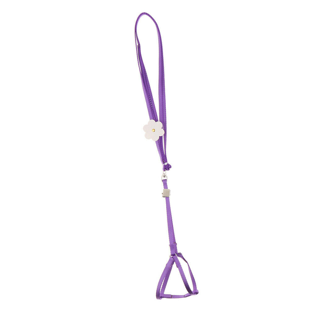 Outdoor Parrot Rope Pet Leash Adjustable Bird Harness S Purple