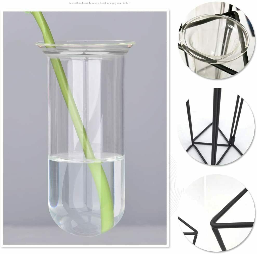 Glass Test Tubes Vase Flower Hydroponic Planter Stand Rack Decor with Iron Frame