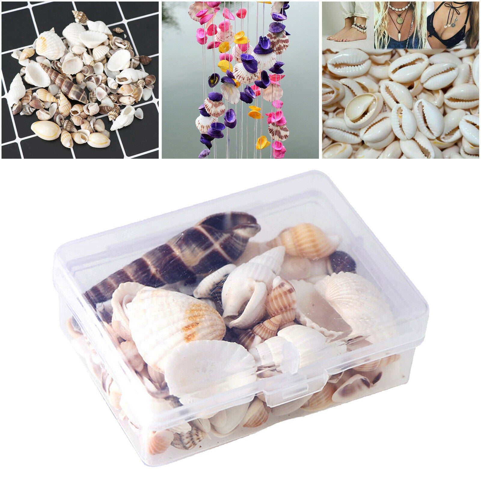 Sea Shell Natural Conch Shells Beach Seashells for Fishes Tank Aquarium
