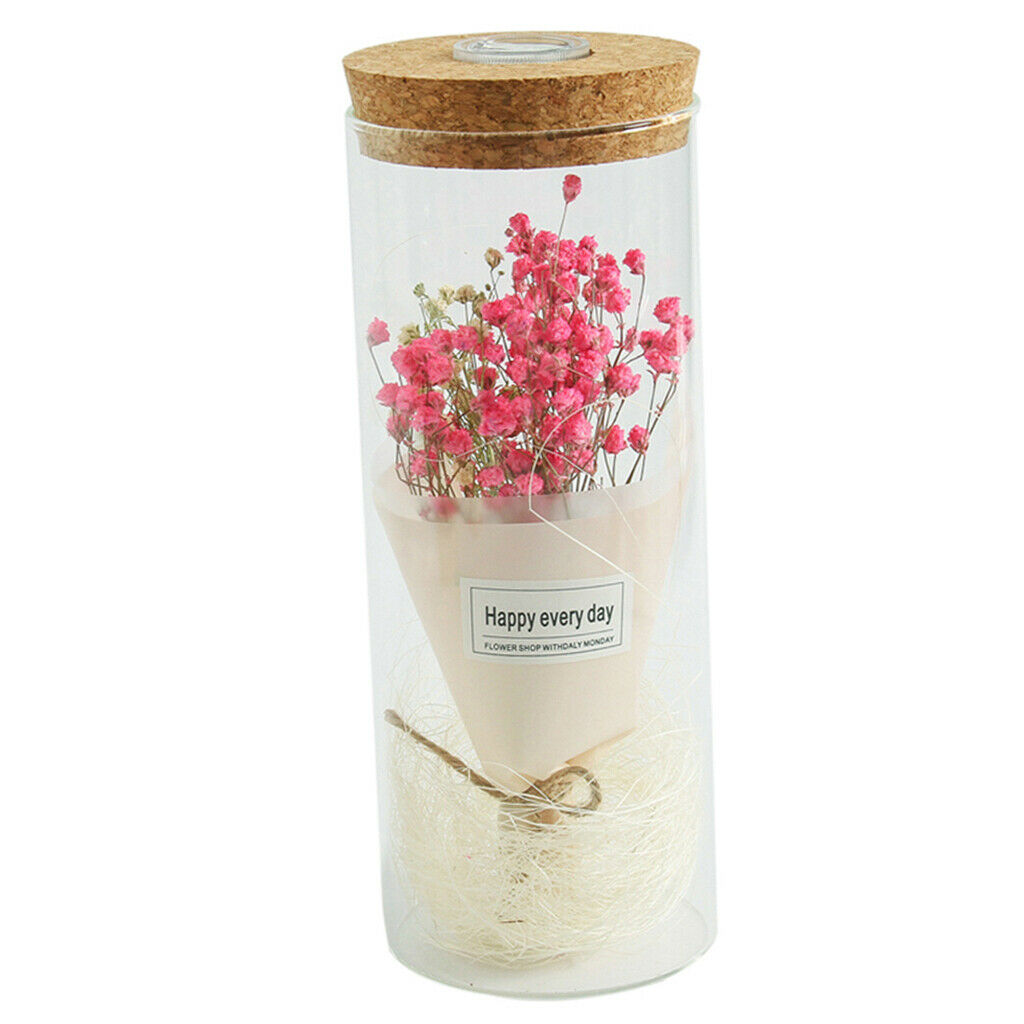 Creative Gypsophila Flowers Glass Jar Cover Landscape LED Light Decor Pink