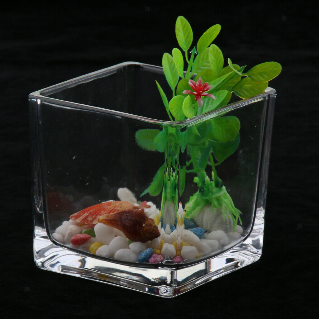 Thickened Glass Ecological System Aquarium Fish Tank Desktop Decor Clear