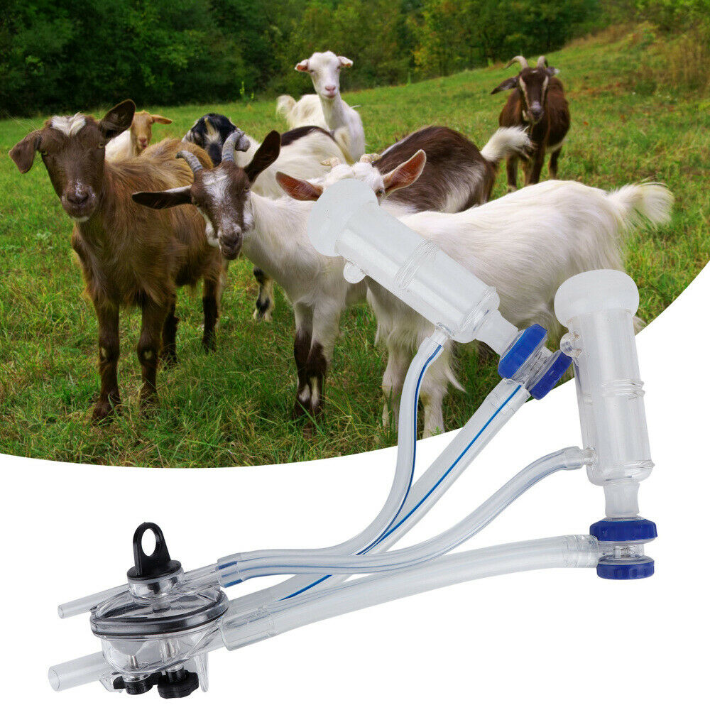 Cow Milking Machine Spare Parts:Milker Claw Cluster Groups Milking Teat Cup
