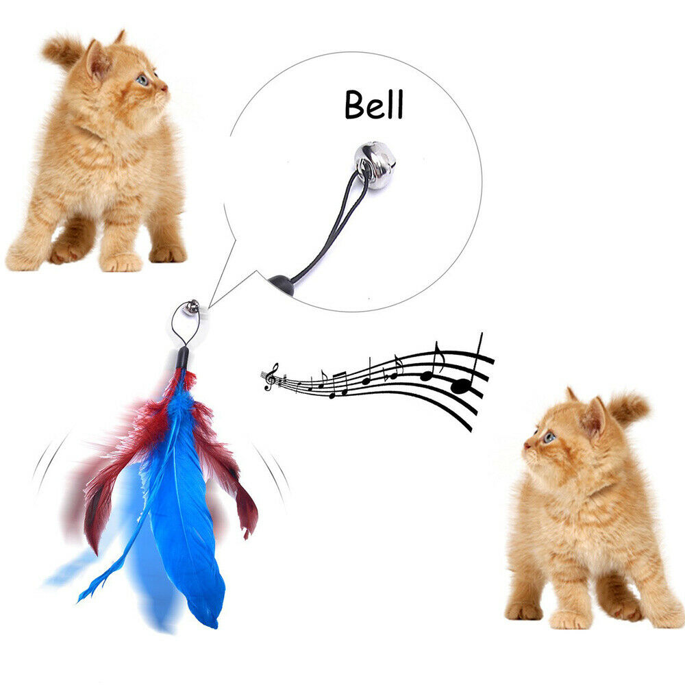 Interactive Cat Teaser Wand Rod Bird Feather Wire Chaser Funny Toys Retractable