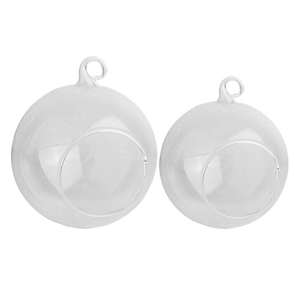 2pcs Ball Shape Flowerpot Hydroponic Vase Home Garden Decoration