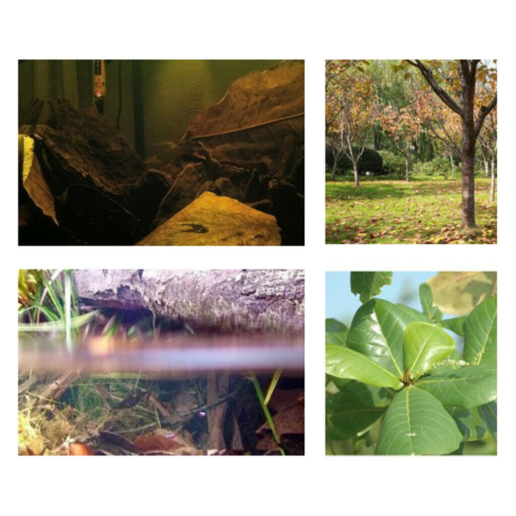 10pcs Leaves For Freshwater Aquariums
