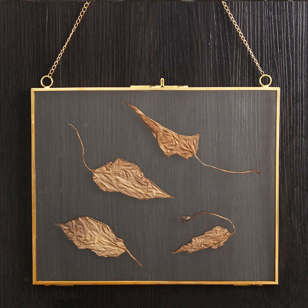 Chic Hanging Clear Picture Photo Frame Display Frames with Hook & Chain