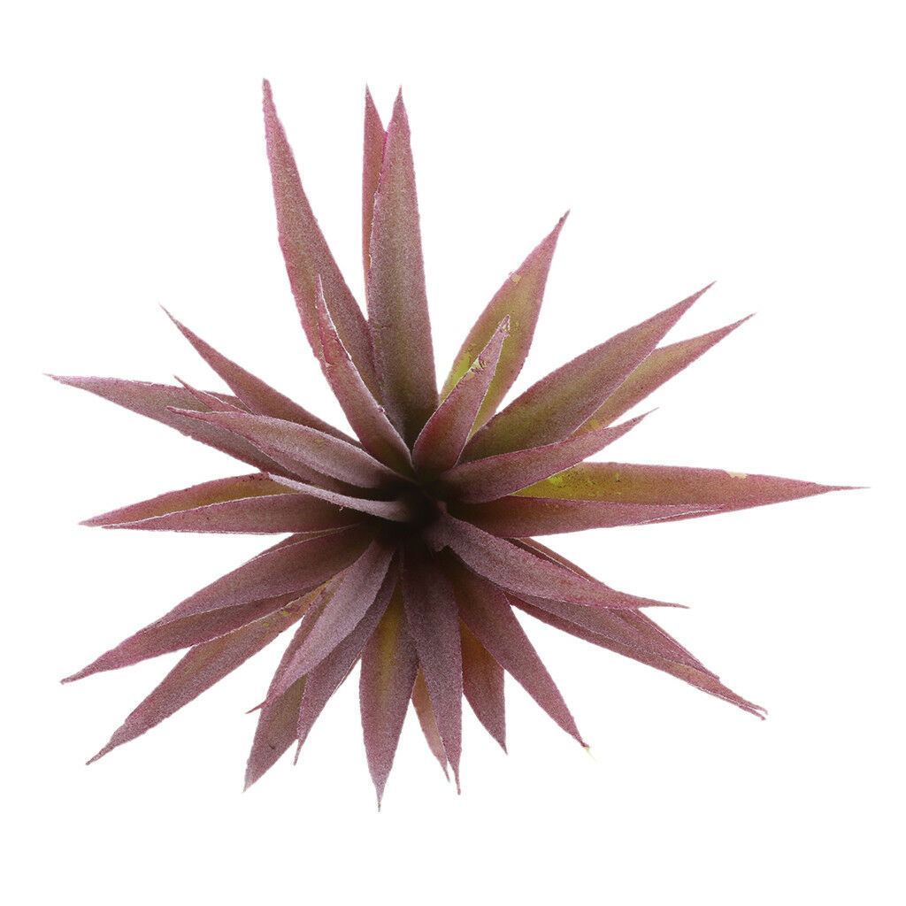 Artificial Succulent Plants Agave Titanota Cactus Simulation Flowers #5
