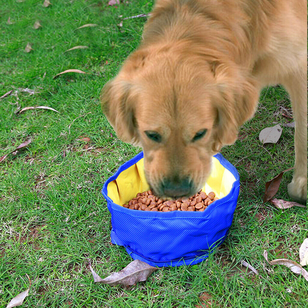 Foldable Pet Dog Cat Bowl Food Feeder for Camping Travel Hiking 1pcs Green