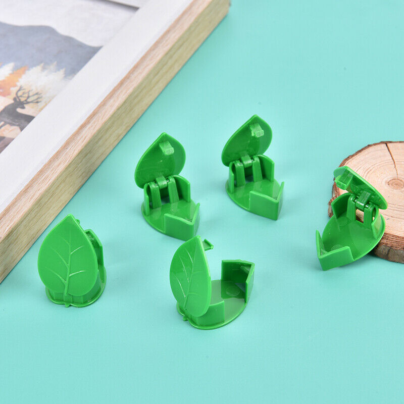 50PCS Plant Bracket Invisible Wall Rattan Clamp Clip Vine Climbing Sticky H JD