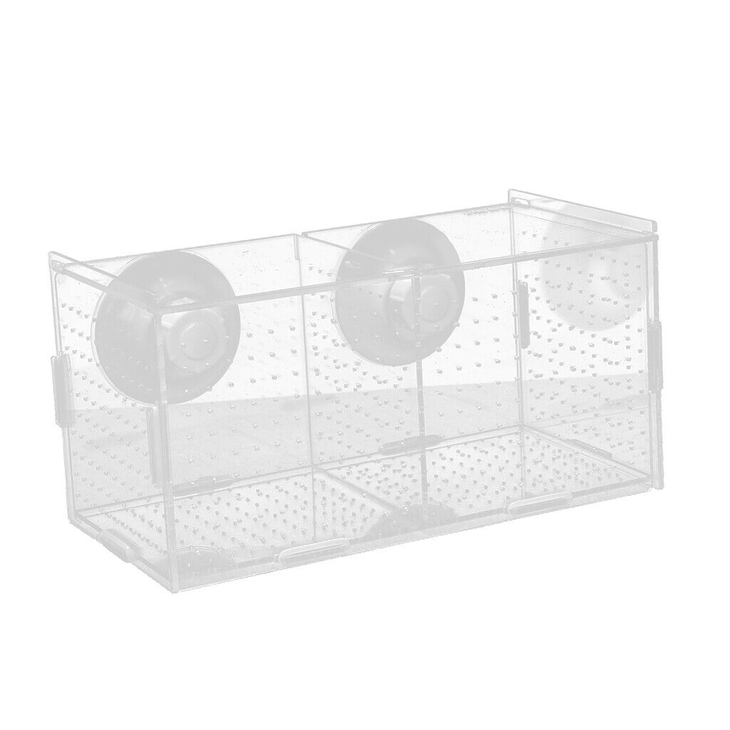 Aquarium Isolation Tank Young Fishes Rearing Box Tank with Suction Cup