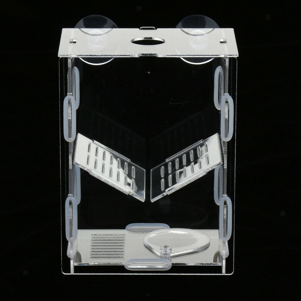 Clear Fish Breeding Box Acrylic Aquarium Breeder Box Double Guppies Hatching