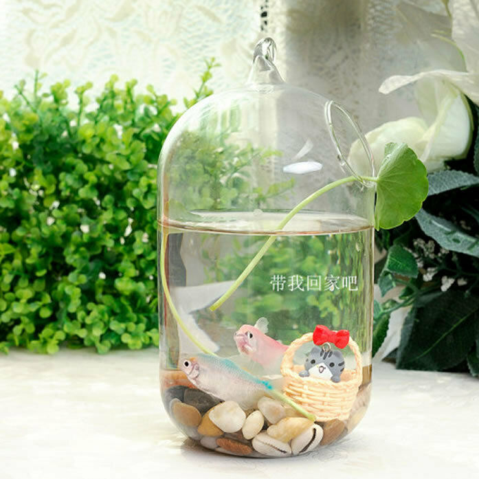 Hanging Glass Flower Vase Bottle Hydroponic Terrarium Container Home Decor L