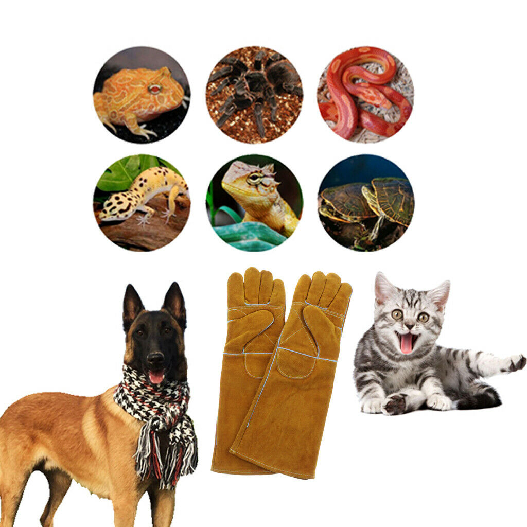 Professional Anti-bite Gloves With Long Sleeves Reptile Protect