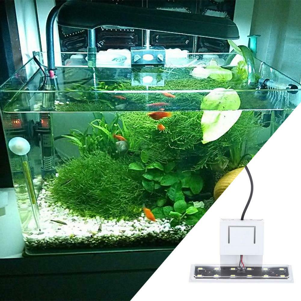 Plants Grow Clip-on LED Aquarium Light with EU Plug for Coral Reef Cabin Glass