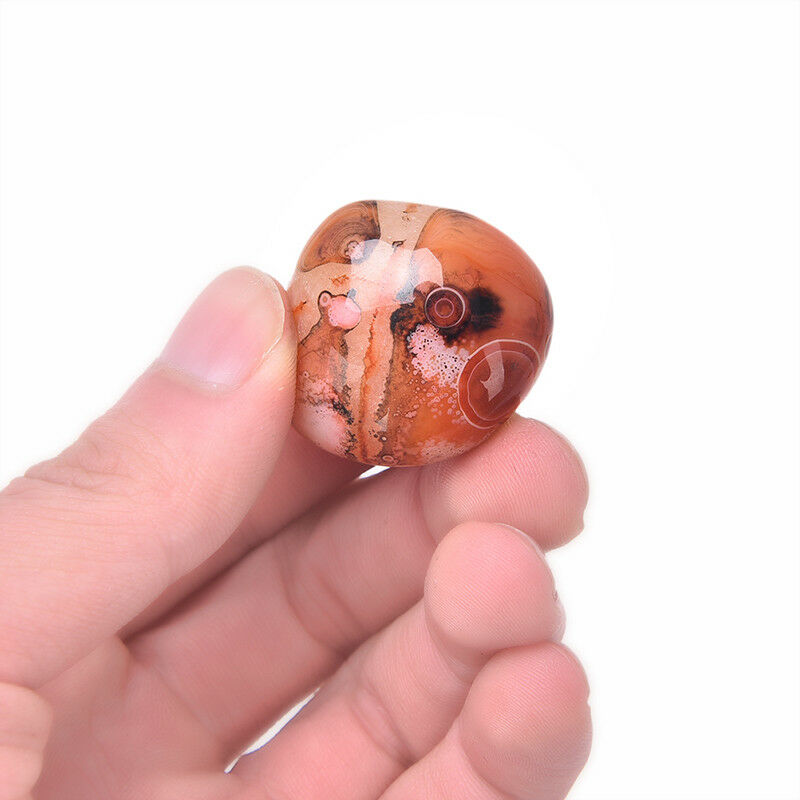 5Pcs Natural Banded Agate Madagascar,Xlarge Tumbled Beautiful Patterns   ZB Tt