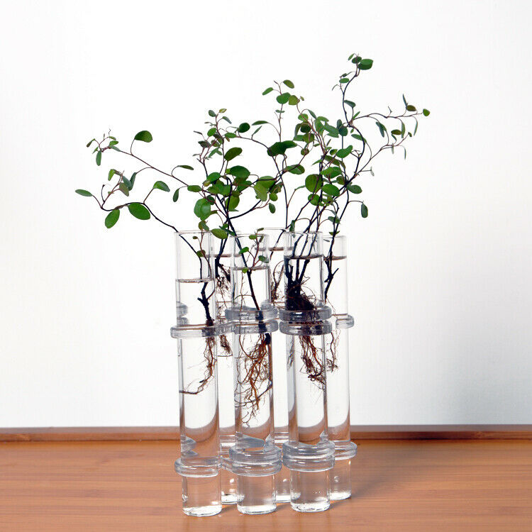 6x Glass Tubes Shape Hanging Hydroponic Flower Plant Vase Terrarium Container