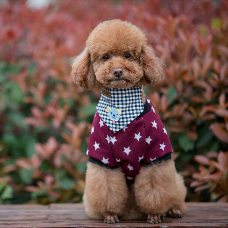 Pet Dog Bandana Scarf Triangle Neckerchief Bib Plaid Dog Print Decor-Blue(S)
