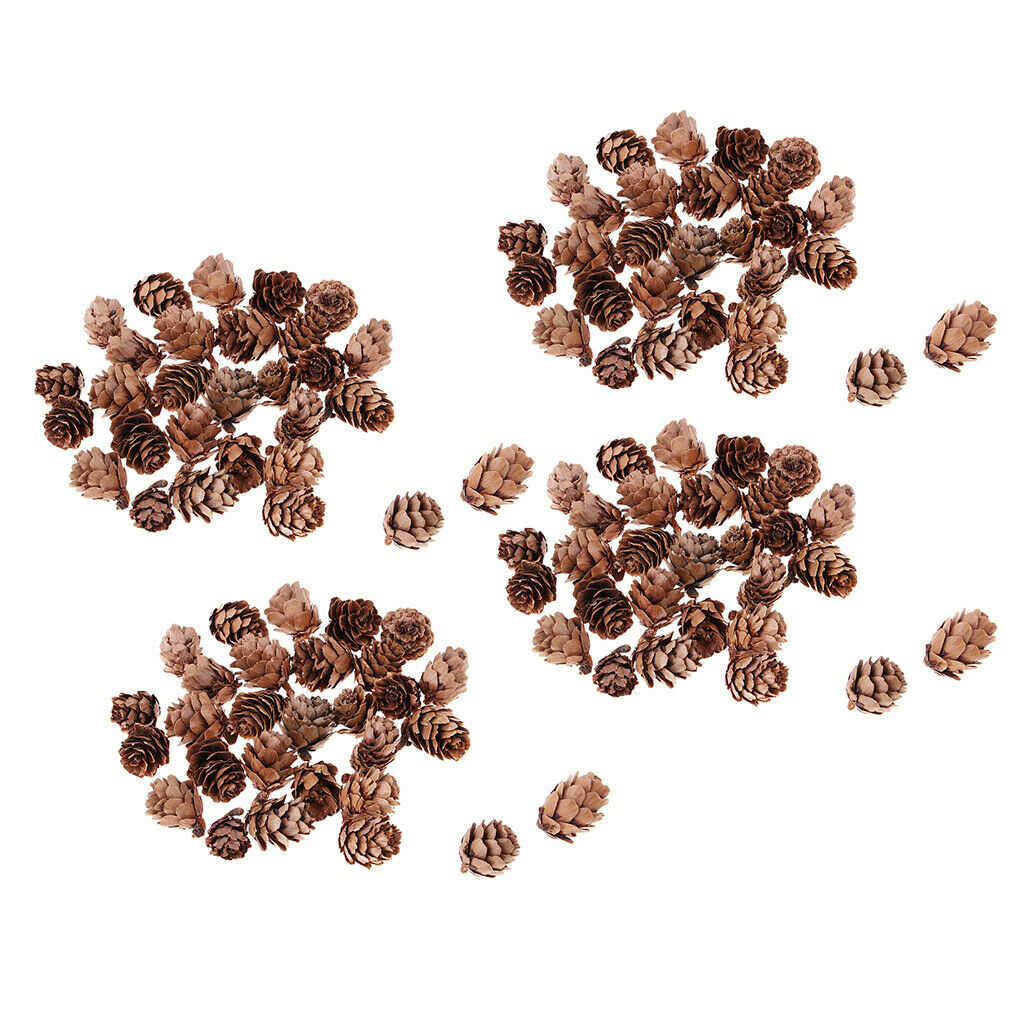 120pcs Mini Natural Pine Cones for Home Party