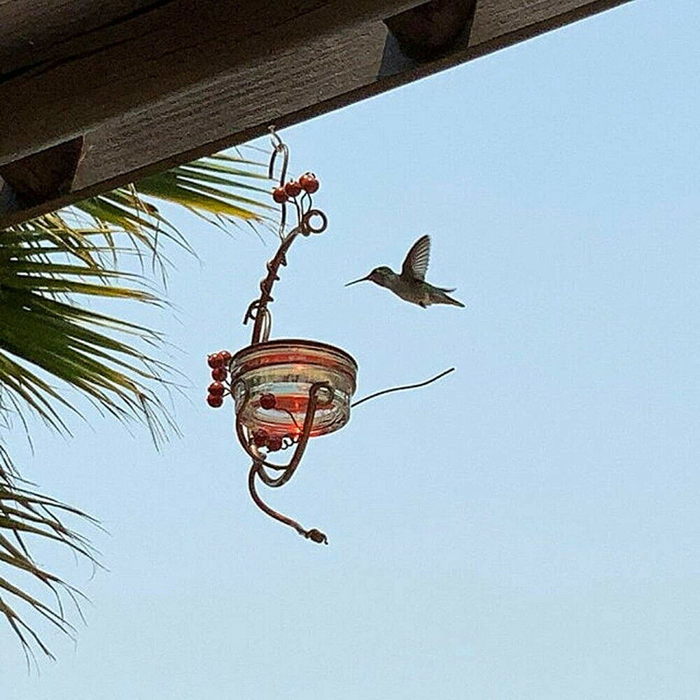 Red Berries Hummingbird Feeder Outdoor Hanging Garden Window Bird Feeder Craft