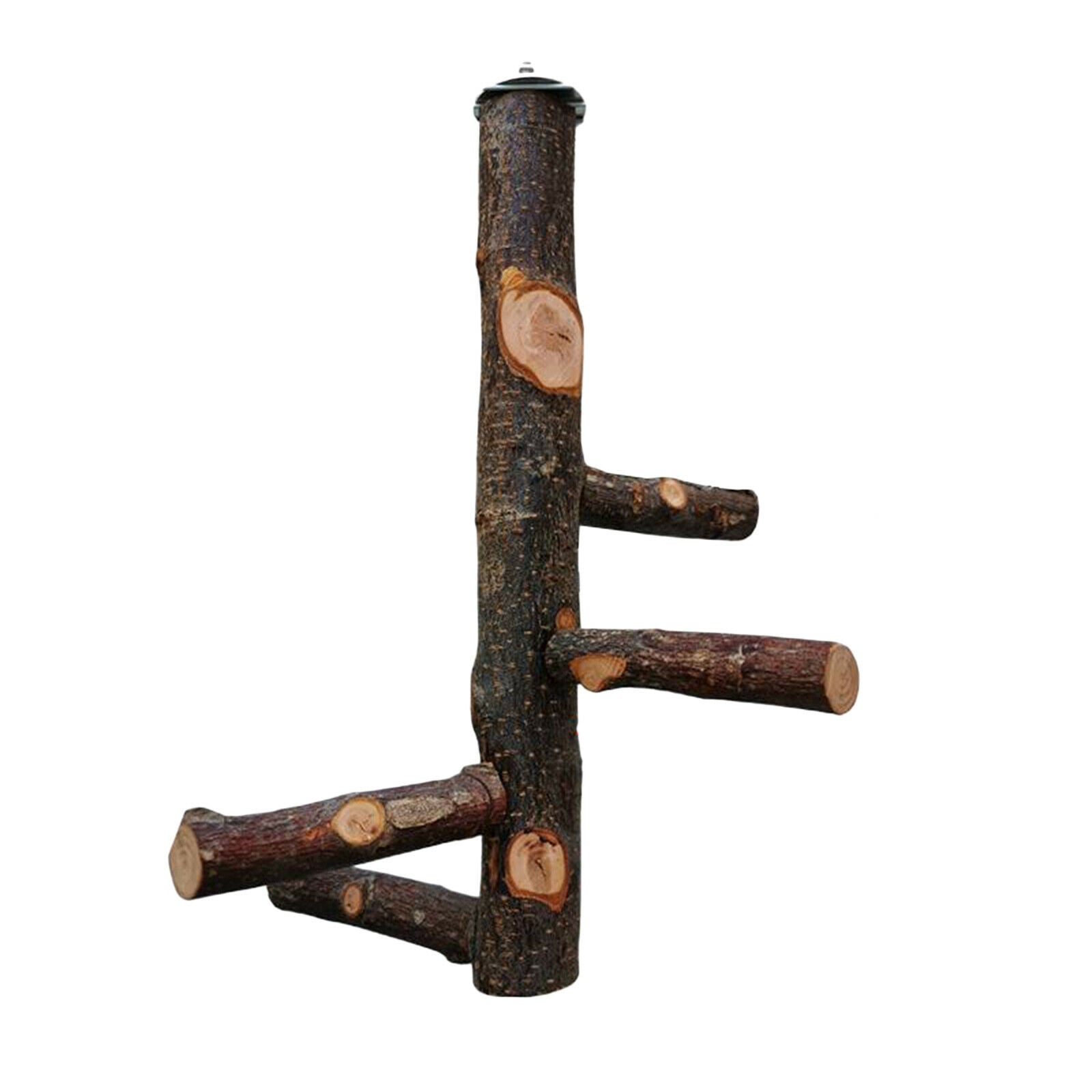 Bird Perch Natural Wood Stick Stand Rack Birdcage Hanging Swing Canaries