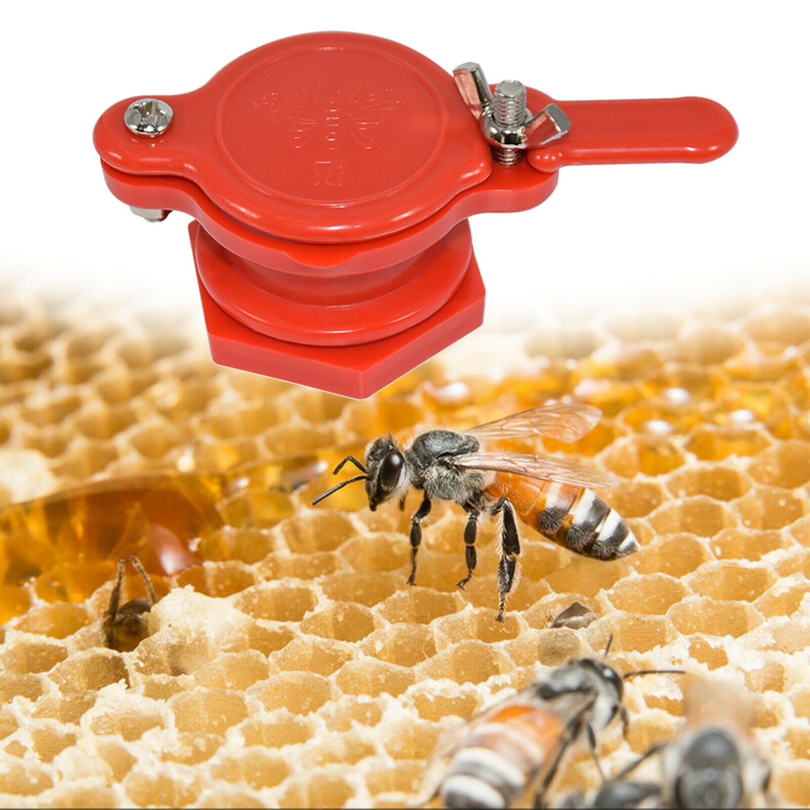 Honey Valve Honey Extractor for Bucket Beekeeping Honey Tap Equipment Red
