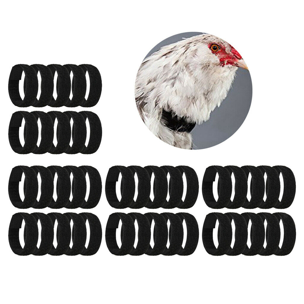 40pcs Chicken Collar Prevent Rooster from Disturbing Neighbors For Duck
