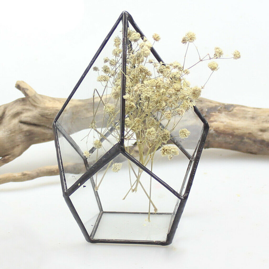 Clear Glass Terrarium Box Open Fern Moss Succulent Planter Case Flower Pot