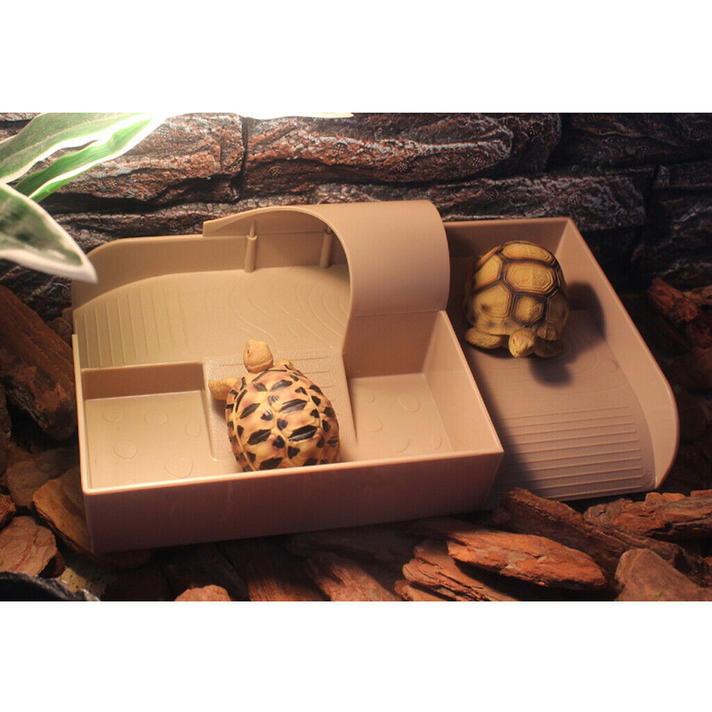 Reptile Turtle Pier Platform with Ramp Loaders Basking on Tank Terrace