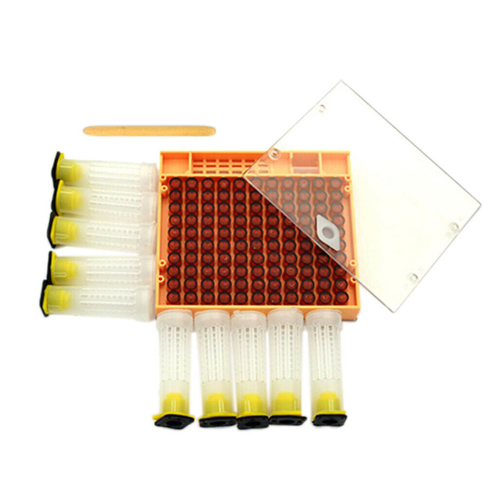 Bee Tools Bee Rearing Cupkit Box 110Pcs Brown Cell Cups Apiculture Supplies