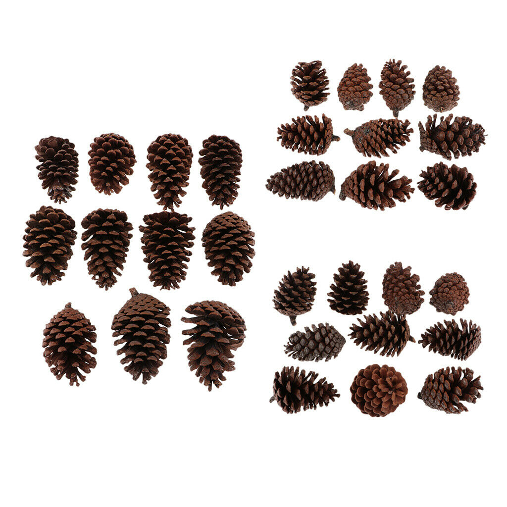 30pcs Mixed Pine Cone Rustic Big Pinecones For Wedding DIY Wreath 6-10cm