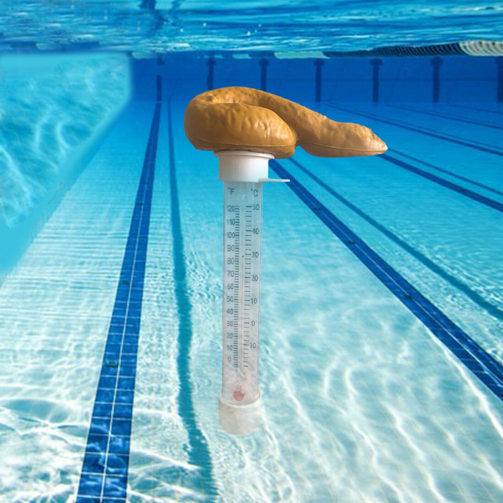 Funny Easy Read Water Floating Pool Thermometer Poop Prank SPA Hot Tub Pond