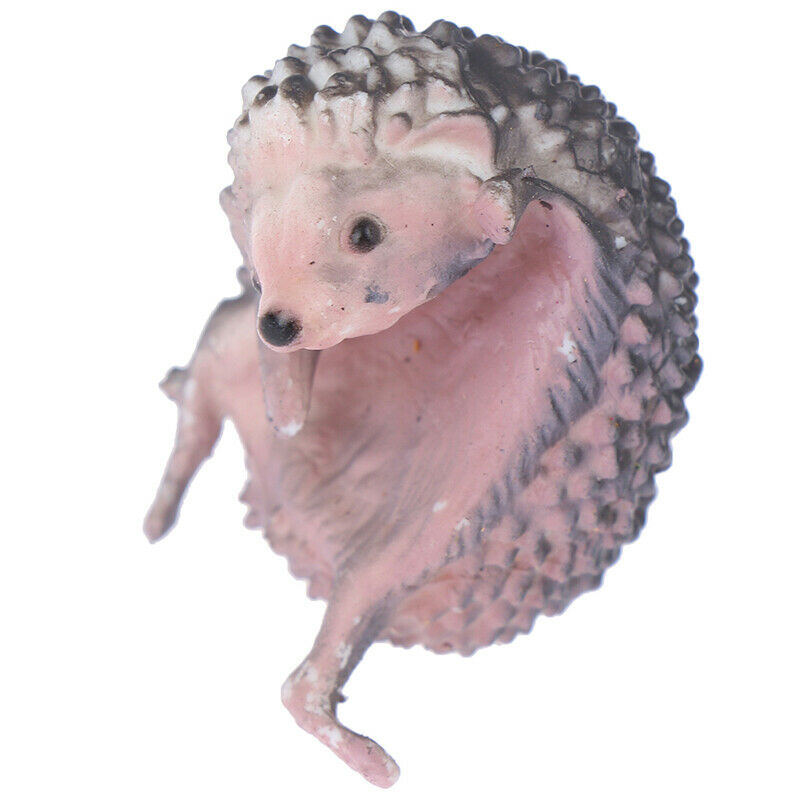 3x capsule toys cute pets mini Hedgehog glass gashapon figures desktop Ki.l8