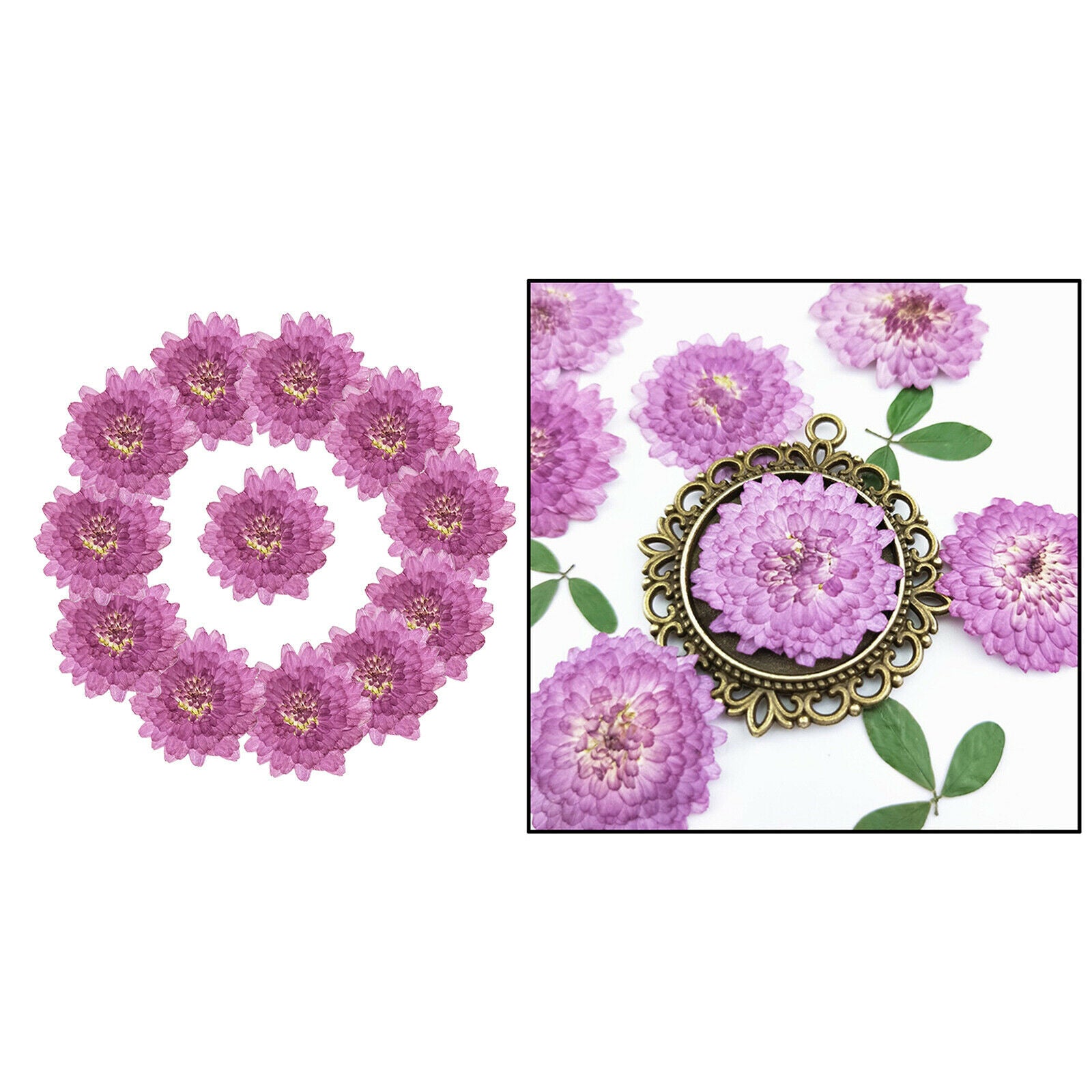 24pcs Pressed Dried Flower Leaves DIY Bookmark Nail Arts Embellishments