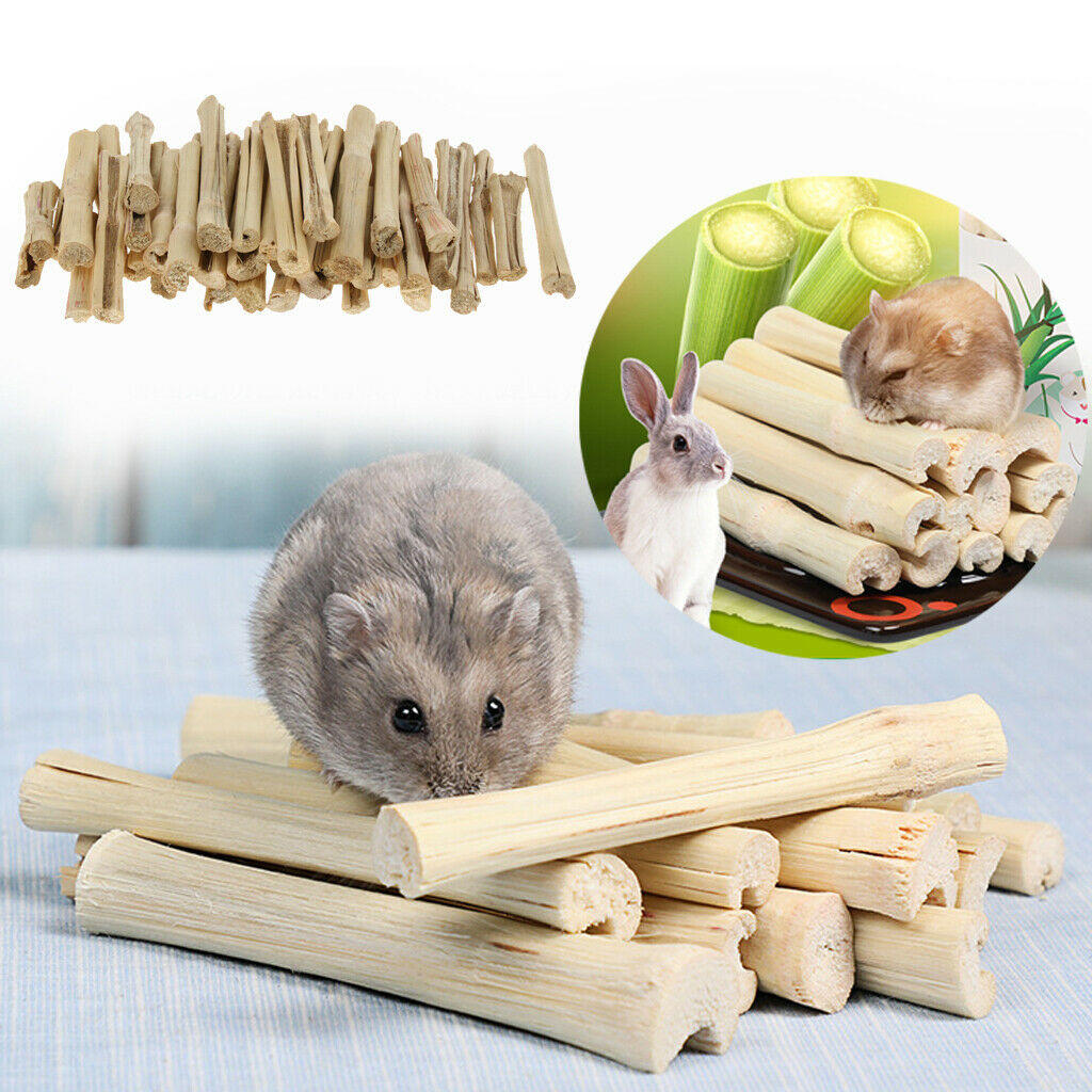 Natural Sweet Bamboo Chew Toys Small Animal Snacks For Rabbit ...