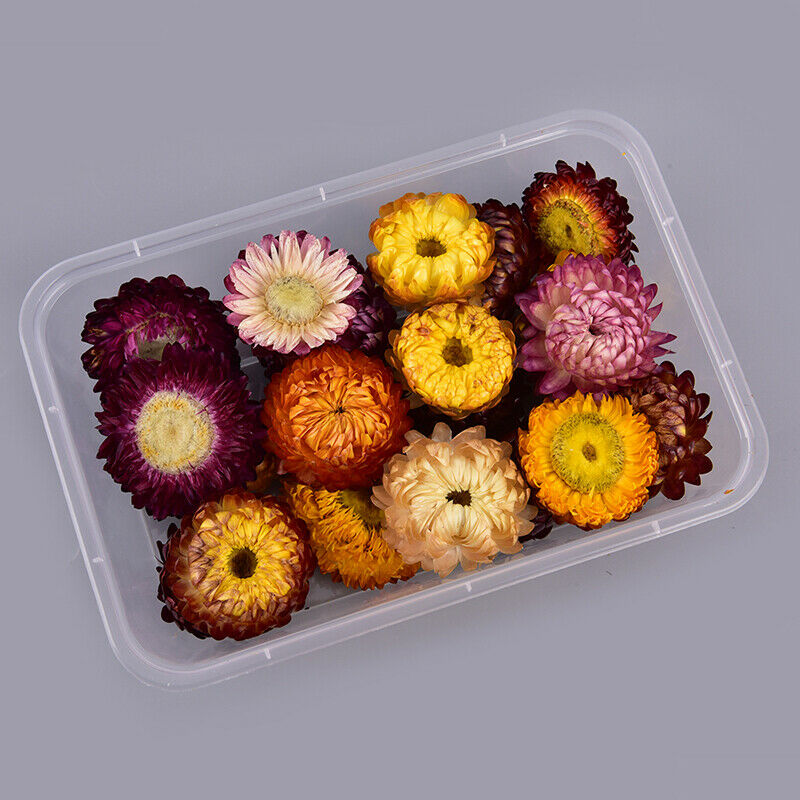 1Box Natural Colorful Chrysanthemum dried Flower heads Craft DIY Accessor.l8