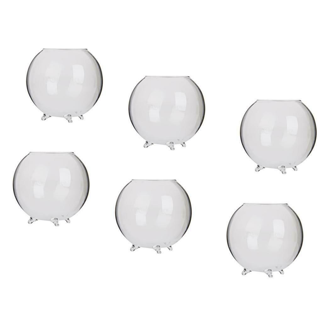6pcs Standing Glass Hydroponic Flowers Vase/ Fairy Garden DIY Terrarium