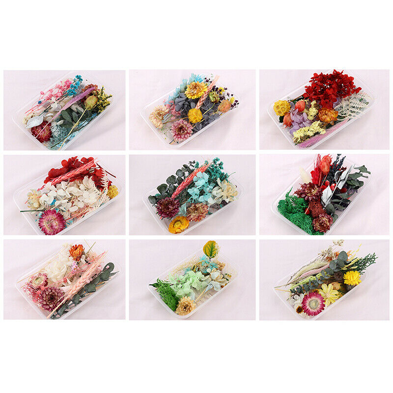 1Box Random Real Dried Flower Dry Plants DIY Aromatherapy Candle Epoxy Re.l8