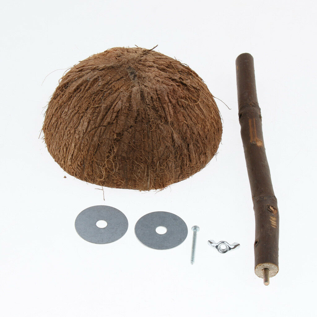 Bird Chew Perch Stand Stick with Coconut Shell Bowl Hamster Rat Feeding