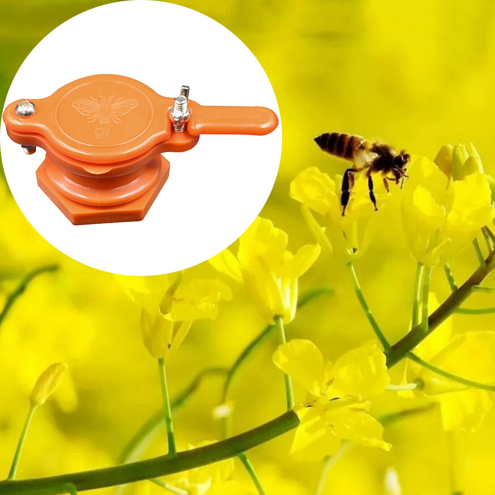 Honey Valve Honey Extractor Beekeeping Honey Bottling Tool Supplies Orange